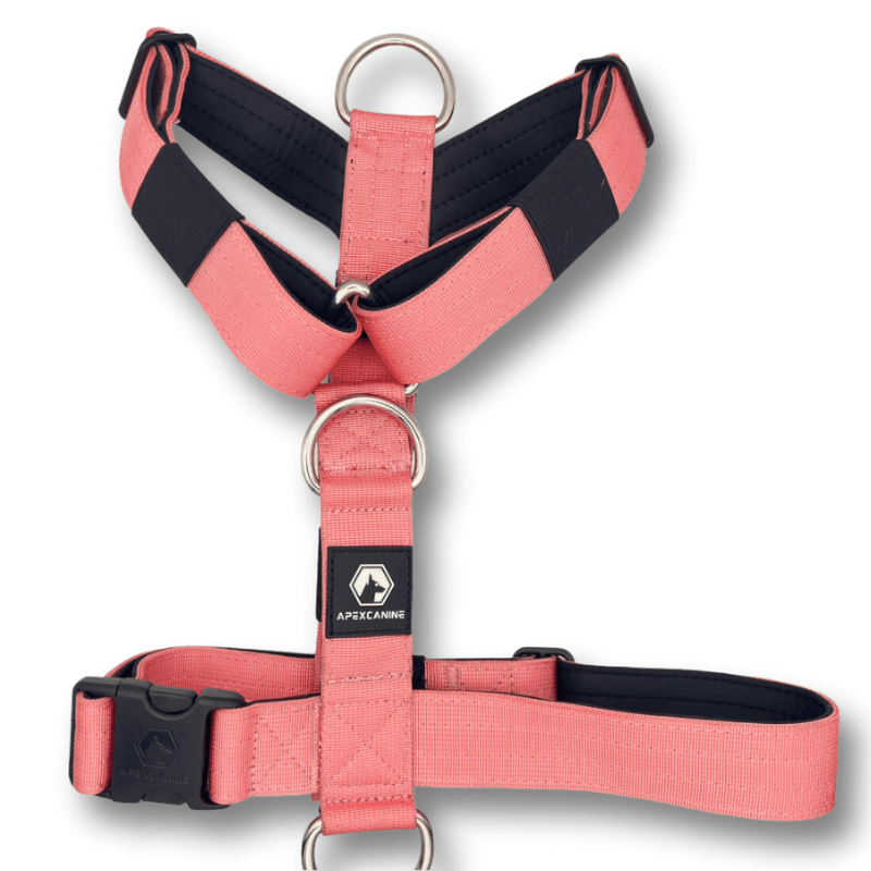 Tactical Harness Pink